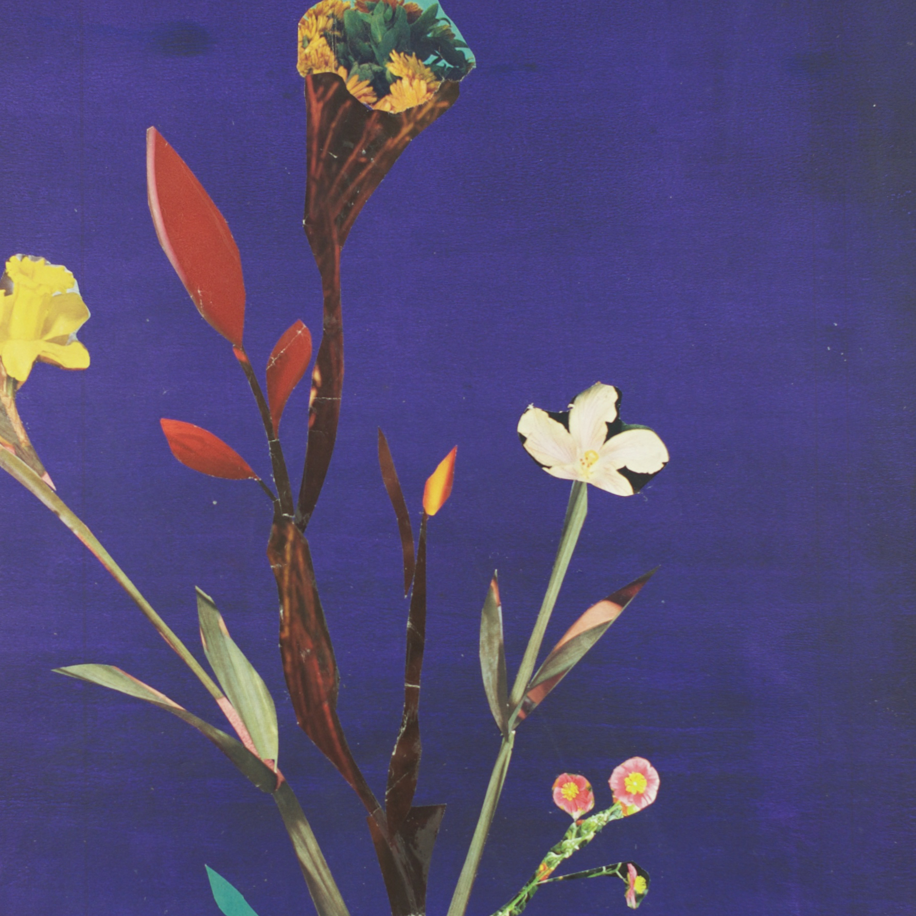 Anke Roder: Flowers In Vase, Collage (2017)