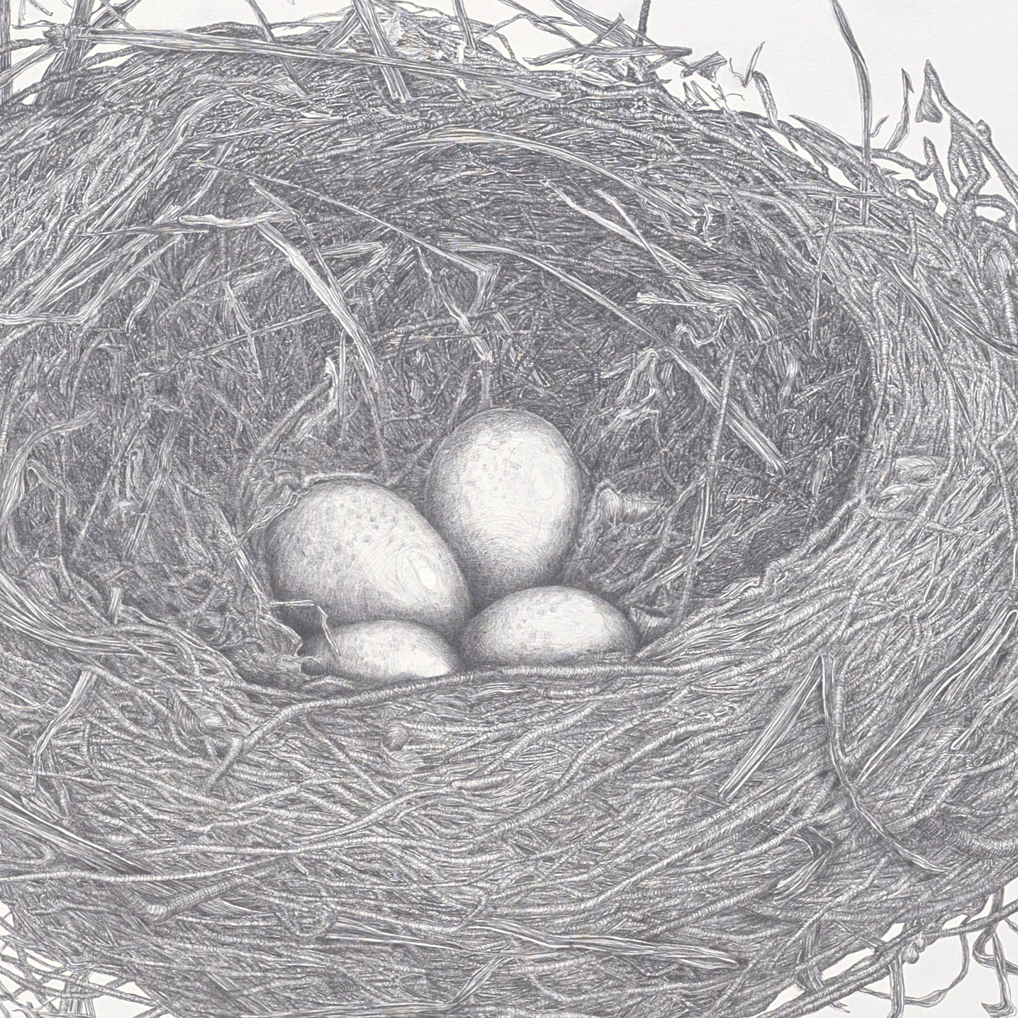 Sabine Liedtke: Nest