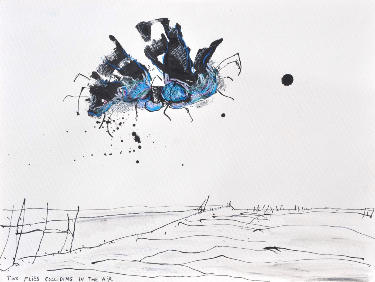 Salomé Roodenburg: Two Flies Colliding (2019)