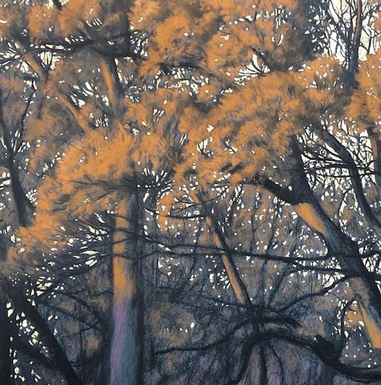 Leo Van Veldhuizen: Forest In Evening Light (2021)